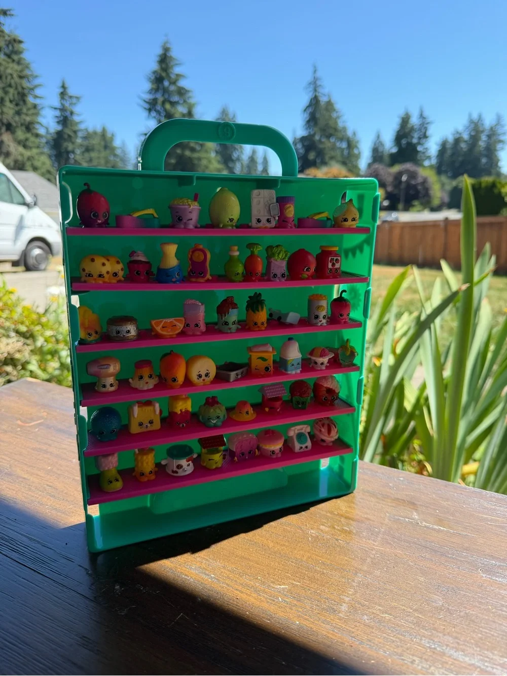 Shopkins Green Carry Case with Pink Shelves - Collectible Display 53 toys